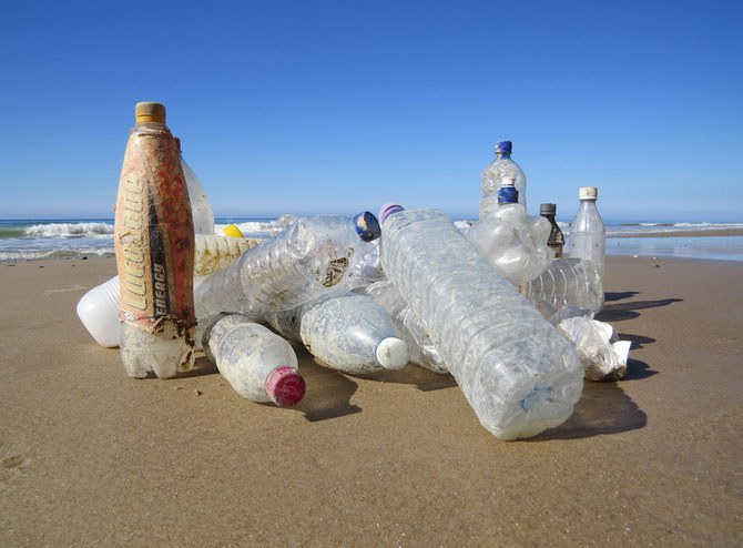 Plastic waste in the environment - Replace Plastic App